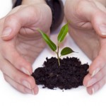 Online Education Protects Student Growth