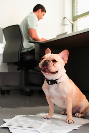 How To Stay Productive After Work