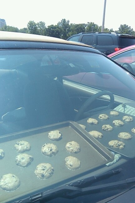 Whoever takes advantage of a heat wave like this
