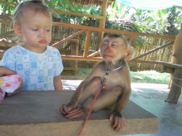 Whoever this little girl that doesn't trust monkeys is